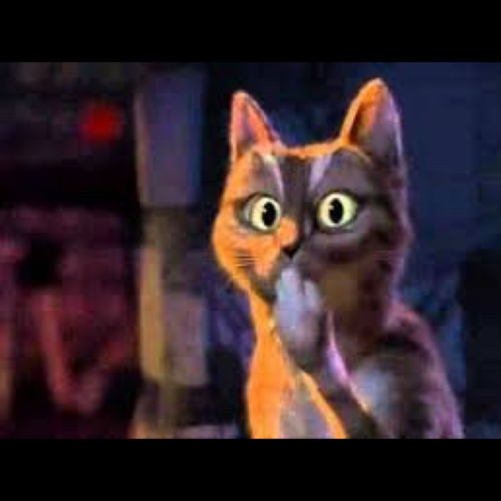 Meet your Posher, Kevin